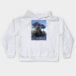 Tree in a snowy landscape Kids Hoodie